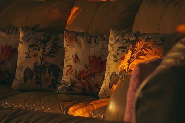 Comment empêcher un canapé en velours de prendre la poussière ?