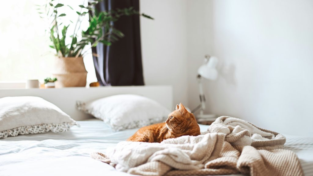 Combien de fois par mois changer son linge de lit pour mieux dormir ?
